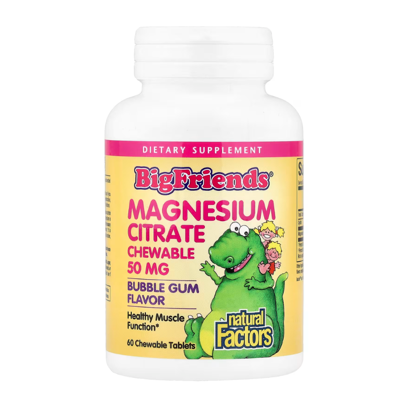 Natural Factors, Big Friends®, Magnesium Citrate, Bubble Gum, 50 mg, 60 Chewable Tablets in Pakistan
